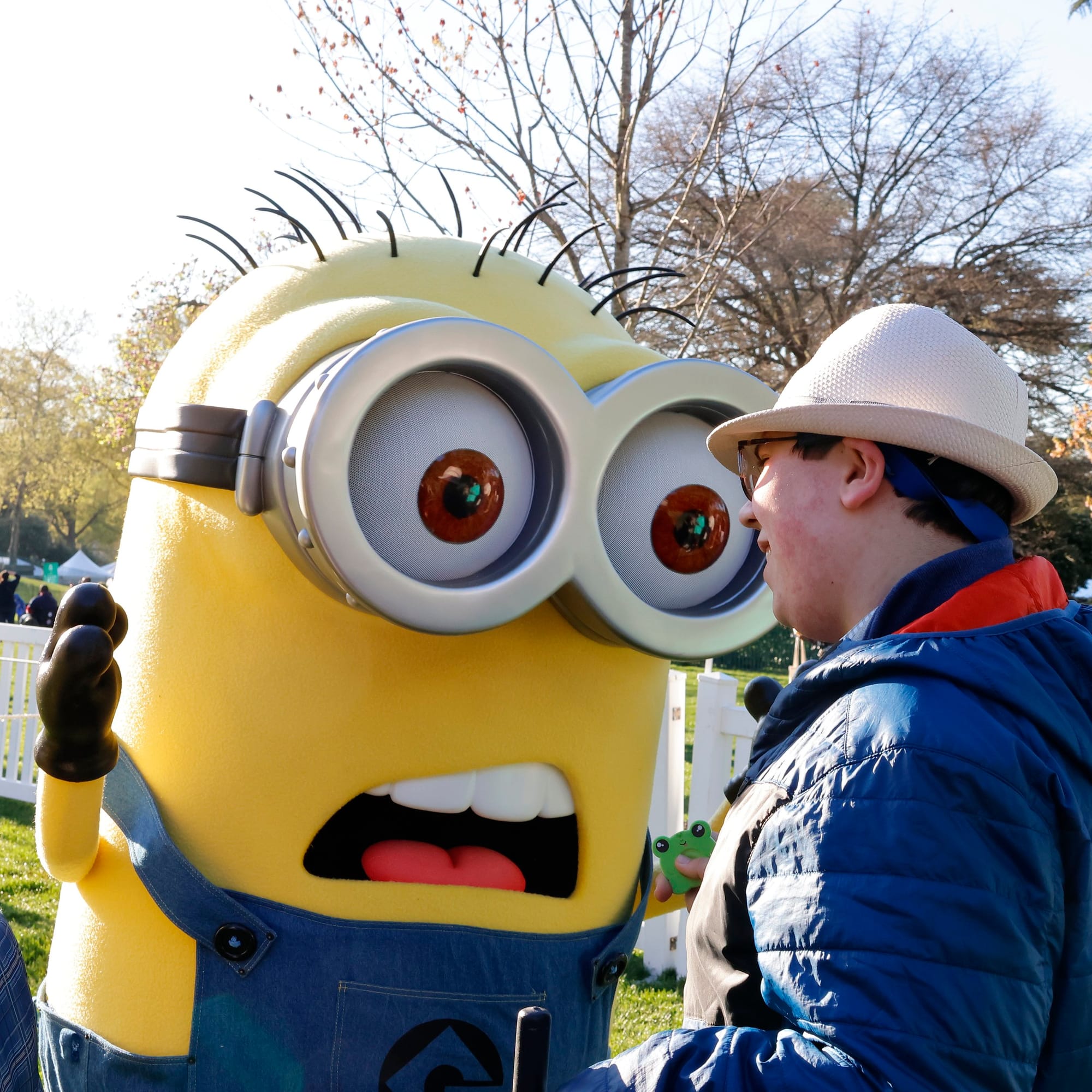 Hello Minions!